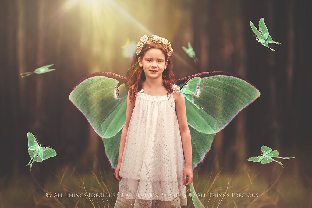 Fairy Wing & Butterfly Overlays For Photographers, Photoshop, Digital art and Creatives. Butterfly fairy wings, Png overlays for photoshop. Photography editing. High resolution, 300dpi. Overlay for photography. Digital stock and resources. Graphic design. Wings for Photos. Colourful Faerie Wings. Butterflies. Overlays for Edits. Luna Moth.