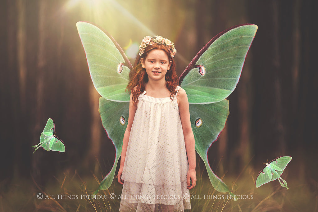 Fairy Wing & Butterfly Overlays For Photographers, Photoshop, Digital art and Creatives. Butterfly fairy wings, Png overlays for photoshop. Photography editing. High resolution, 300dpi. Overlay for photography. Digital stock and resources. Graphic design. Wings for Photos. Colourful Faerie Wings. Butterflies. Overlays for Edits. Luna Moth.