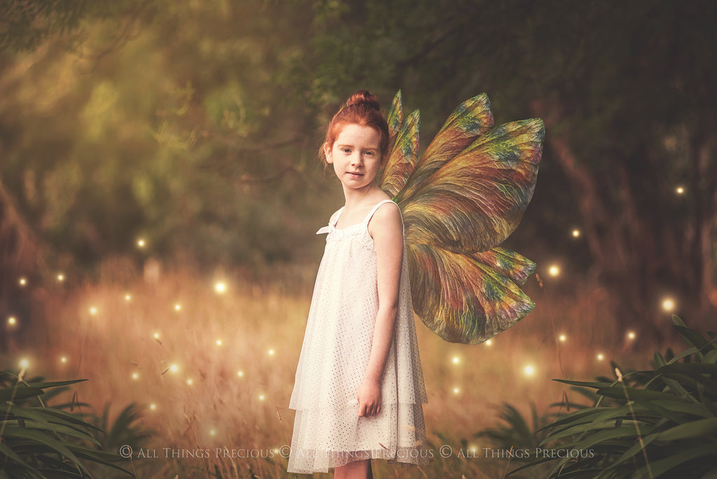 Fairy Wing Overlays For Photographers, Photoshop, Digital art and Creatives. Butterfly fairy wings, Png overlays for photoshop. Photography editing. High resolution, 300dpi. Overlay for photography. Digital stock and resources. Graphic design. Wings for Photos. Colourful Faerie Wings. Overlays for Edits. 