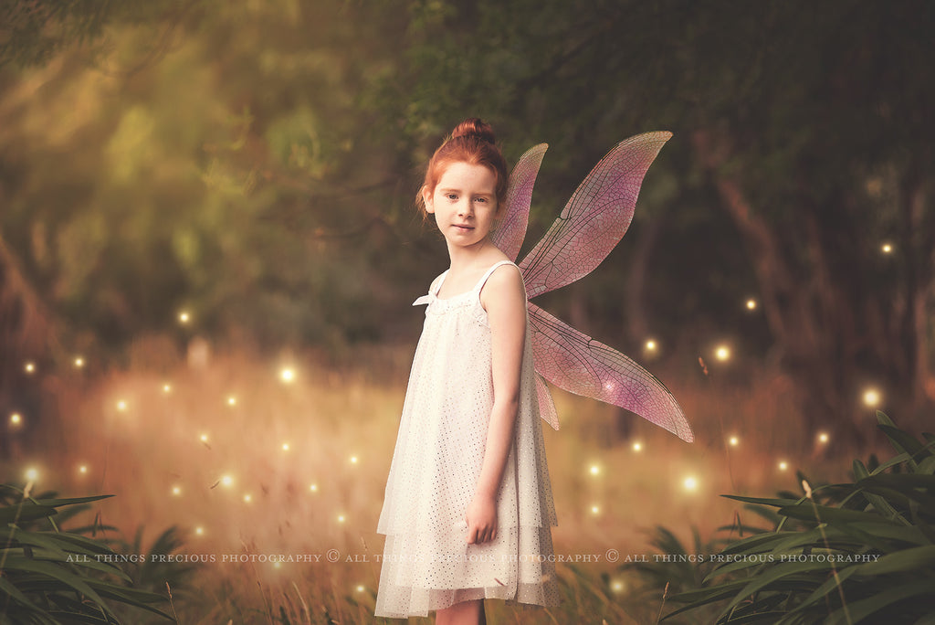 Digital Overlays for Photographers, Graphic design, scrapbooking and creatives.. Fairy Wings. High resolution, fine art digital assets for creating fantasy art.  Png overlay with transparent background. Magical Edit. Png Photo editing art assets.