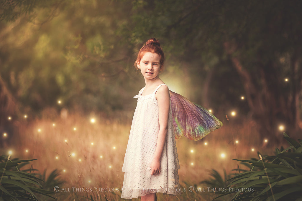 Fairy Wing Overlays For Photographers, Photoshop, Digital art and Creatives. Butterfly fairy wings, Png overlays for photoshop. Photography editing. High resolution, 300dpi. Overlay for photography. Digital stock and resources. Graphic design. Wings for Photos. Colourful Faerie Wings. Overlays for Edits. 