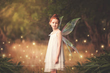 Load image into Gallery viewer, 20 Png Digital PIXIE Fairy WING Overlays Set 2
