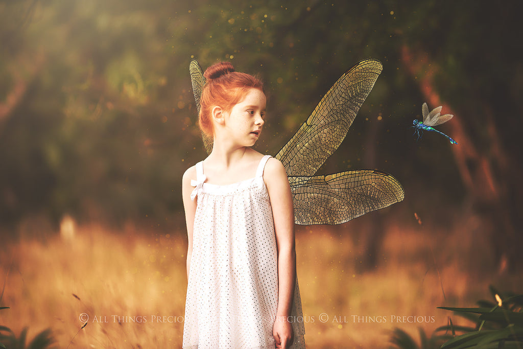 Digital Faery Wing Overlays! Fairy wings, Png overlays for photoshop. Photography editing. High resolution, 300dpi fairy wings. Overlays for photography. Digital stock and resources. Graphic design. Fairy Photos. Colourful Fairy wings. Faerie Wings.