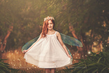 Load image into Gallery viewer, Digital Faery Wing Overlays! Fairy wings, Png overlays for photoshop. Photography editing. High resolution, 300dpi fairy wings. Overlays for photography. Digital stock and resources. Graphic design. Fairy Photos. Colourful Fairy wings. Faerie Wings.
