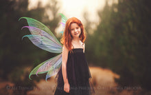 Load image into Gallery viewer, 30 Png FAIRY WING Overlays - VARIETY PACK 3
