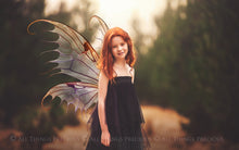 Load image into Gallery viewer, 30 Png FAIRY WING Overlays - VARIETY PACK 3
