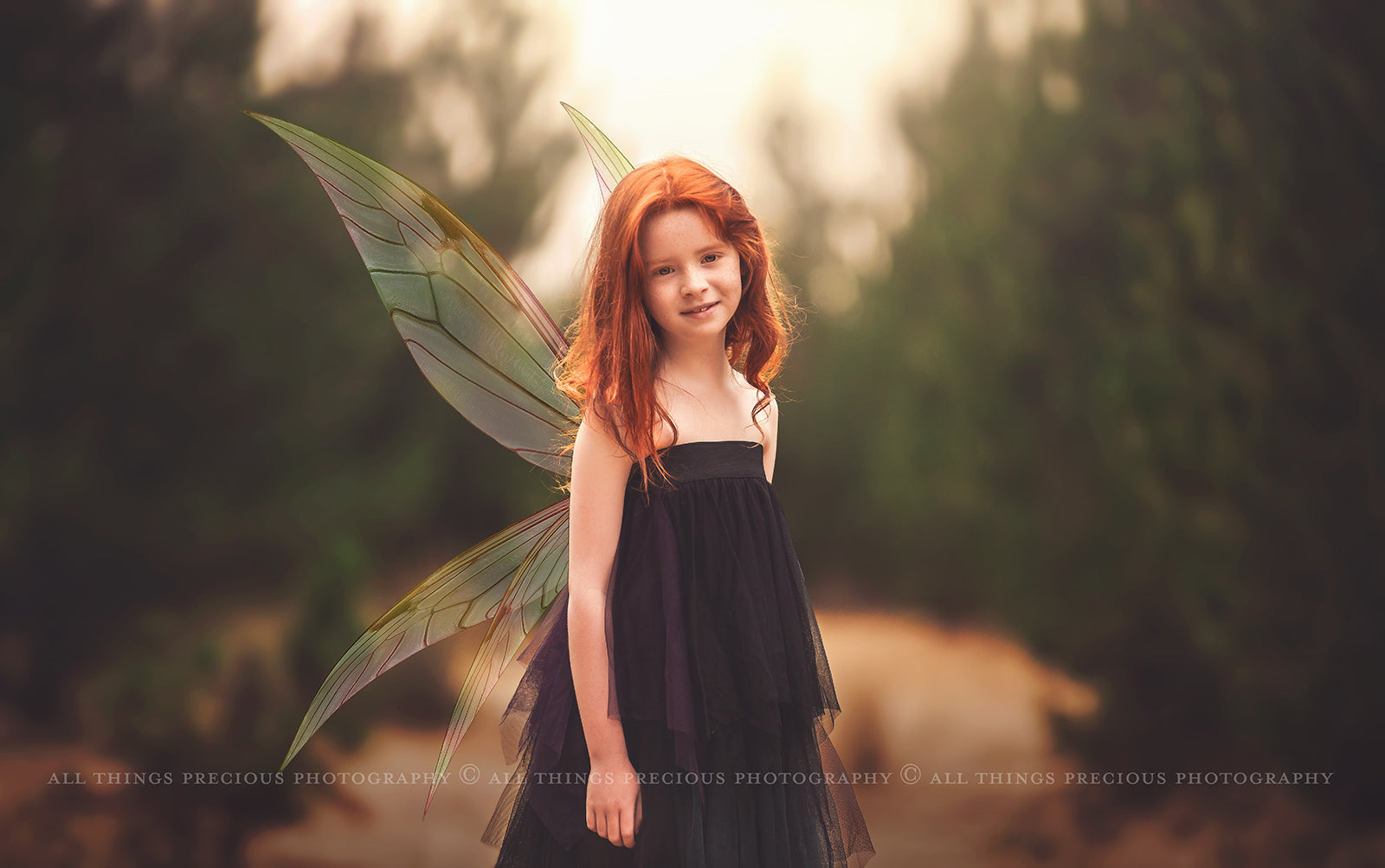 Digital Overlays for Photographers, Graphic design, scrapbooking and creatives.. Fairy Wings. High resolution, fine art digital assets for creating fantasy art.  Png overlay with transparent background. Magical Edit. Png Photo editing art assets.