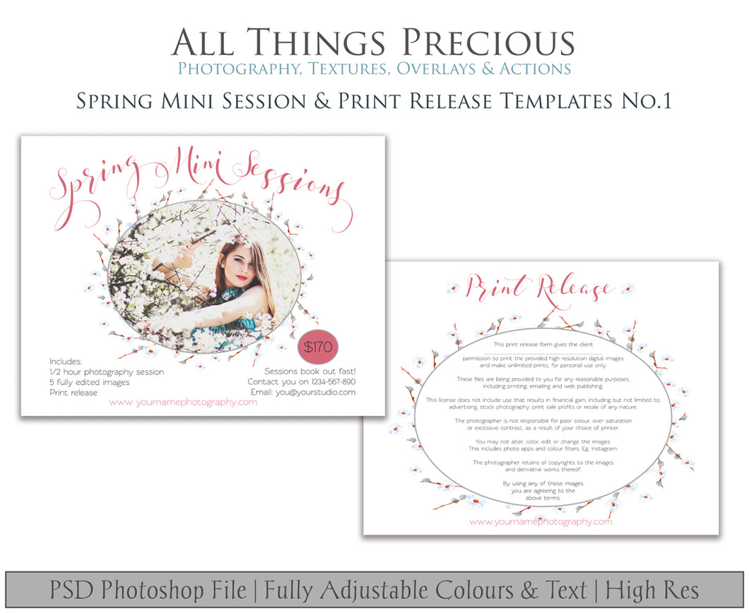 SPRING MINI SESSION & PRINT RELEASE - PSD Template No. 1