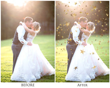 Load image into Gallery viewer, FAIRY WING &amp; OVERLAYS BUNDLE - GOLDEN - Set 8
