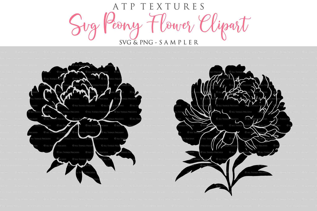 SVG & PNG PEONY FLOWER Clipart / Digital Overlays