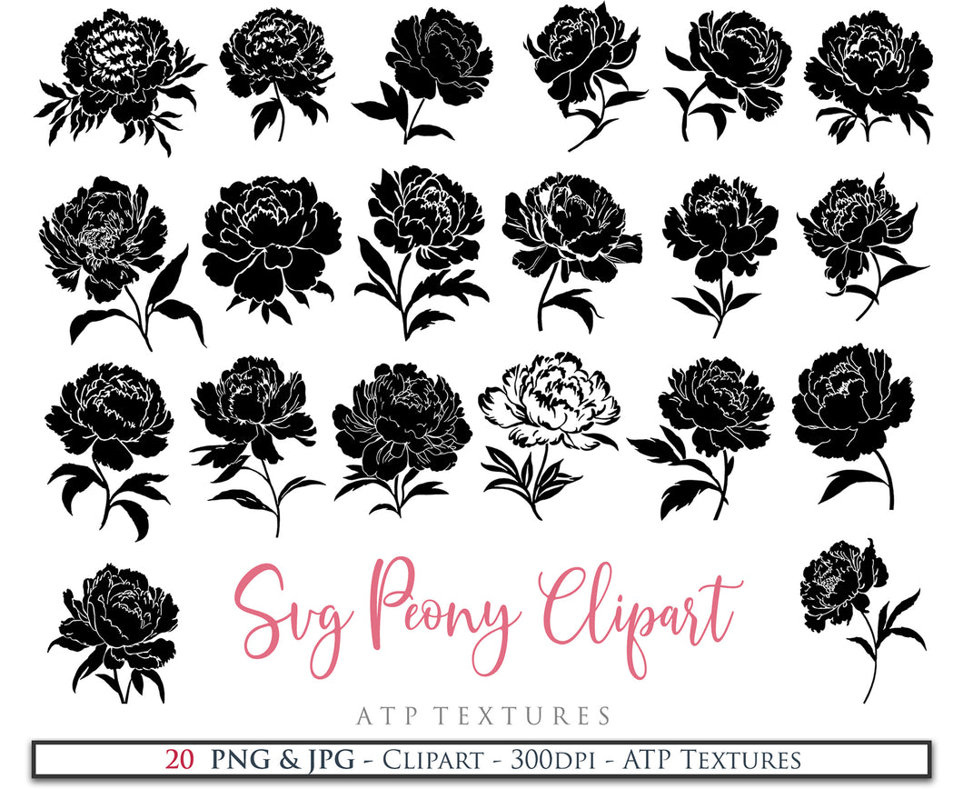 SVG & PNG PEONY FLOWER Clipart / Digital Overlays