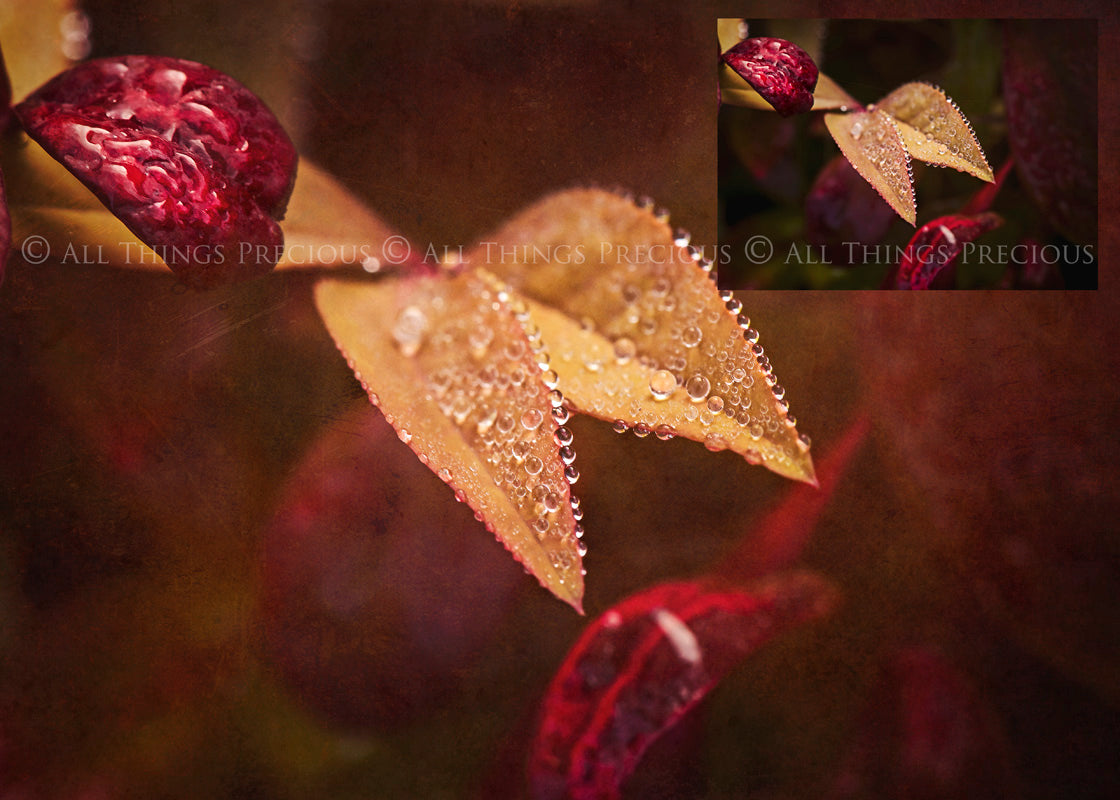 Warm and rich Summer Fine art texture for photographers, digital editing. Photo Overlays. Antique, Vintage, Grunge, Light, Aged Bundle. Textured printable Canvas, Colour, black and white, Bundle. High resolution, 300dpi Graphic Assets for photography, digital scrapbooking and design. By ATP Textures