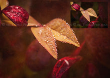 Load image into Gallery viewer, 10 Fine Art TEXTURES - SUMMER Set 2
