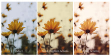 Load image into Gallery viewer, Mini Set Photoshop Actions - Bundle No.1
