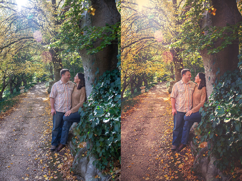 Photoshop Actions for Photography Edits. PS atn files are compatible with all versions of PS CS6. Photoshop Actions for professional photographers, photo edits and Instagram influencers. Warm, Rich, Light, Matte. For Wedding, Newborn, Studio Photography. By ATP Textures