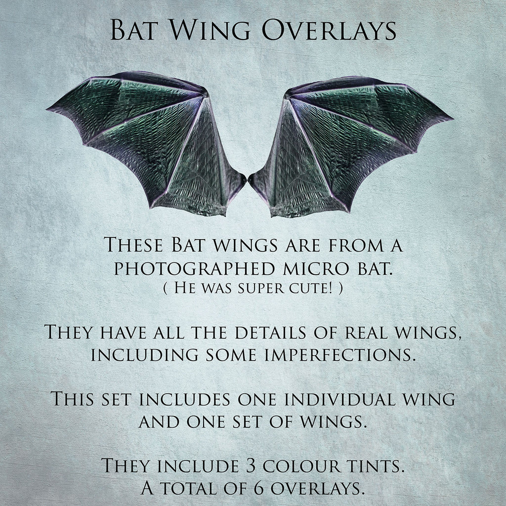 Bat Wings Overlays For Photography, Photoshop, Digital art and Creatives. Transparent, high resolution wings for photographers. PNG overlays for fantasy digital art and Child portraiture. colour, fairy wings. Photo Overlays. Digital download. Graphic effects. ATP Textures