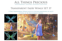 Load image into Gallery viewer, 20 Png FAIRY WING Overlays Set 37
