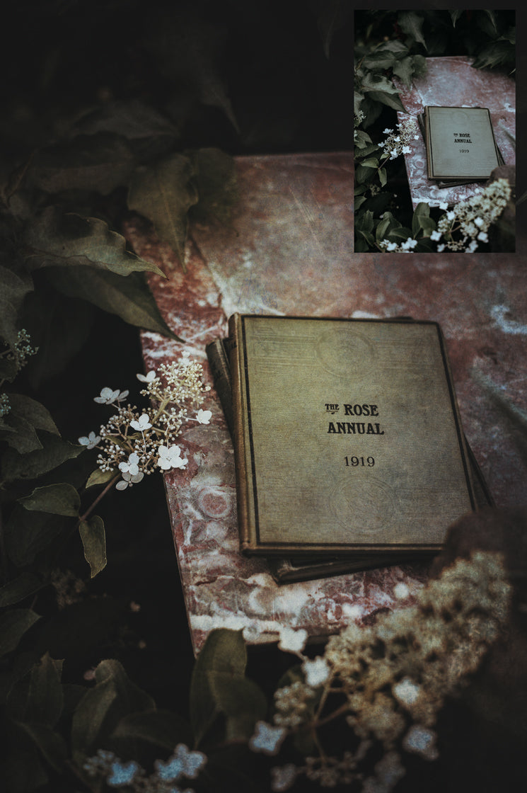 Earth fine art textures. Rich, warm colour tints. Texture for photographers and digital editing. Photo Overlays. Antique, Vintage, Grunge, Light, Dark Bundle. Textured printable Canvas, Colour, Monochrome, Bundle. High resolution, 300dpi Graphic Assets for photography, digital scrapbooking and design. By ATP Textures