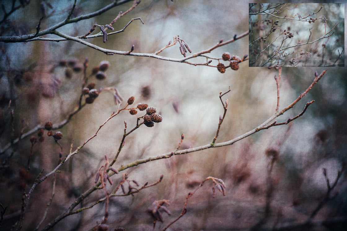 Pretty Pink textures. Fine art texture for photographers, digital editing. Photo Overlays. Antique, Vintage, Grunge, Light, Aged Bundle. Textured printable Canvas, Colour, black and white, Bundle. High resolution, 300dpi Graphic Assets for photography, digital scrapbooking and design. By ATP Textures