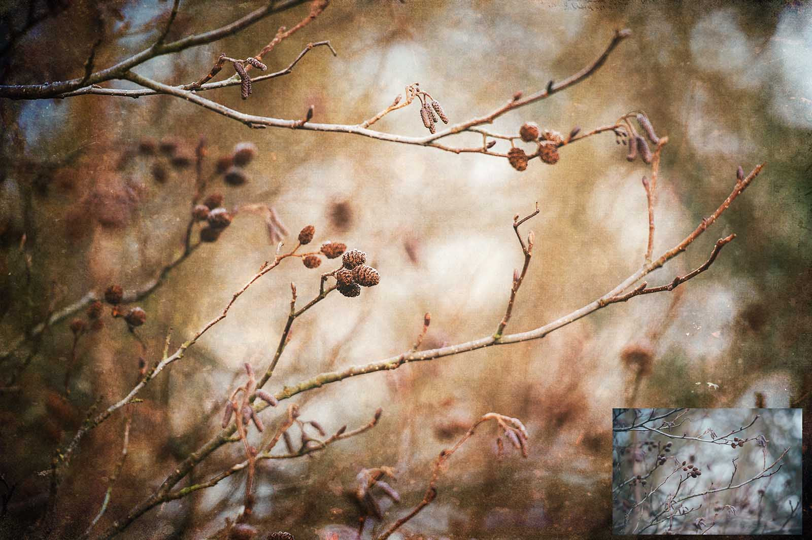 Rich warm and Creamy tinted textures. Fine Art Texture for photographers and digital editing. Photo Overlays. Antique, Vintage, Grunge, Light, Dark Bundle.  Textured printable Canvas, Colour, Monochrome, Bundle. High resolution, 300dpi Graphic Assets for photography, digital scrapbooking and design. By ATP Textures