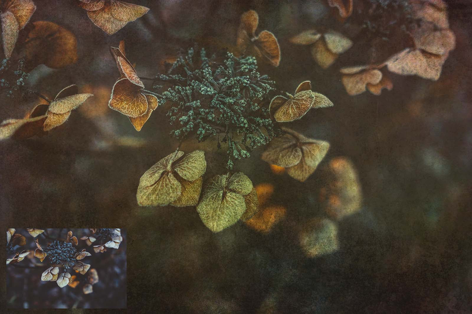 Mixed bundle textures. Fine art texture for photographers, digital editing. Photo Overlays. Antique, Vintage, Grunge, Light, Dark Bundle. Textured printable Canvas, Colour, Monochrome, Bundle. High resolution, 300dpi Graphic Assets for photography, digital scrapbooking and design. By ATP Textures