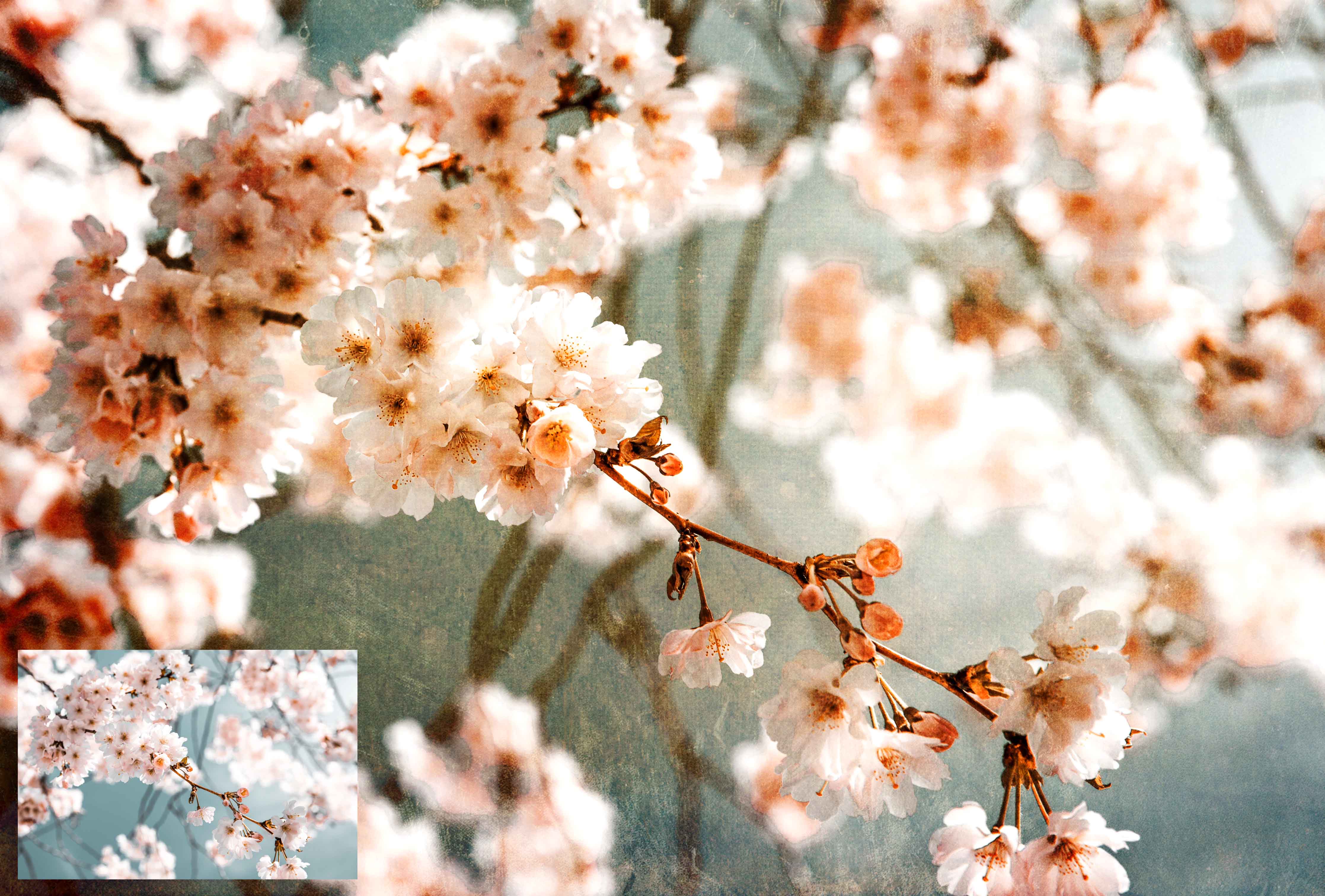 Earth fine art textures. Rich, warm colour tints. Texture for photographers and digital editing. Photo Overlays. Antique, Vintage, Grunge, Light, Dark Bundle. Textured printable Canvas, Colour, Monochrome, Bundle. High resolution, 300dpi Graphic Assets for photography, digital scrapbooking and design. By ATP Textures