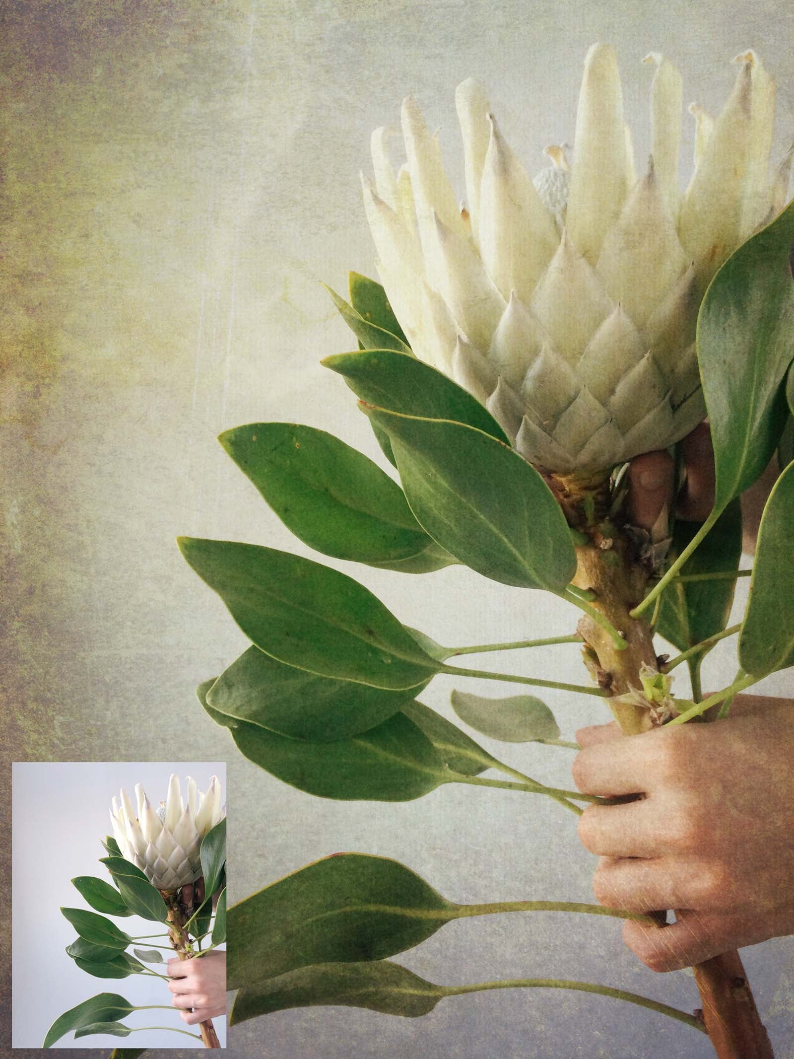 Fine art textures for photographers, digital editing. Photo Overlays. Antique, Vintage, Grunge, Light, Bundle. Textured printable Canvas, Colour, black and white, Bundle. High resolution, 300dpi Graphic Assets for photography, scrapbooking and design. By ATP Textures