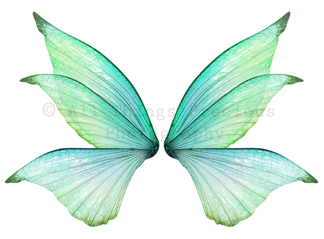 Digital Fairy Wings Overlays clipart. Png transparent see through files for photoshop. Butterfly Angel, Color, Print Photography editing. High resolution, 300dpi. Printable, Photography Graphic design assets, add on stock resources. Magical Scrapbooking design. Faery Photographer edit. Colorful Big Bundle. ATP Textures