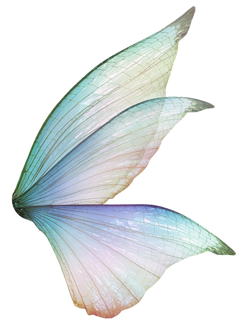 fairy wings side view drawings