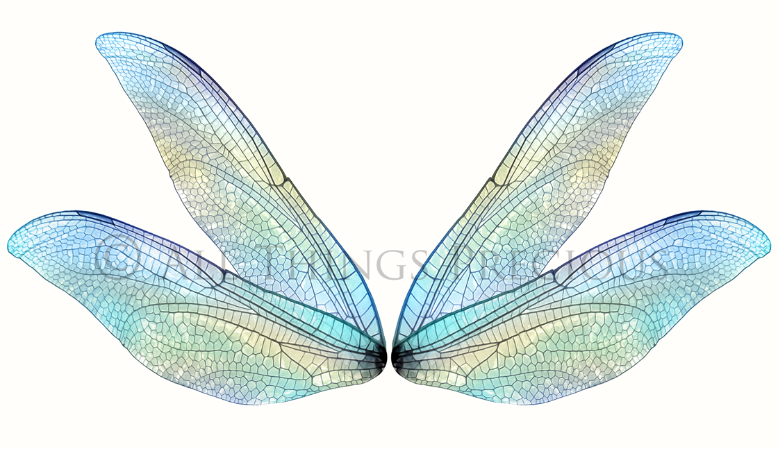 Digital Faery Wing Overlays. Png overlays for photoshop. Photography editing. High resolution, 300dpi fairy wings. Overlays for photography. Digital stock and resources. Graphic design. Fairy Photos. Colourful Fairy wings. Faerie Wings. ATP Textures. Overlays. Actions, Textures, Photo Resources, Photoshop. 