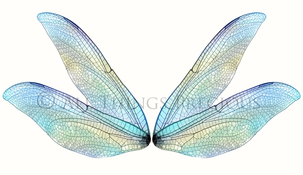Digital Faery Wing Overlays. Png overlays for photoshop. Photography editing. High resolution, 300dpi fairy wings. Overlays for photography. Digital stock and resources. Graphic design. Fairy Photos. Colourful Fairy wings. Faerie Wings. ATP Textures. Overlays. Actions, Textures, Photo Resources, Photoshop. 