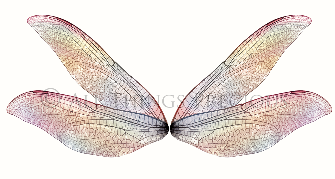 Digital Faery Wing Overlays. Png overlays for photoshop. Photography editing. High resolution, 300dpi fairy wings. Overlays for photography. Digital stock and resources. Graphic design. Fairy Photos. Colourful Fairy wings. Faerie Wings. ATP Textures. Overlays. Actions, Textures, Photo Resources, Photoshop. 