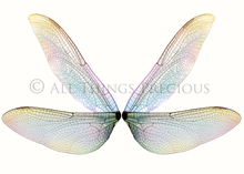 Load image into Gallery viewer, BUNDLE - 80 FAIRY WING OVERLAYS - Set 4
