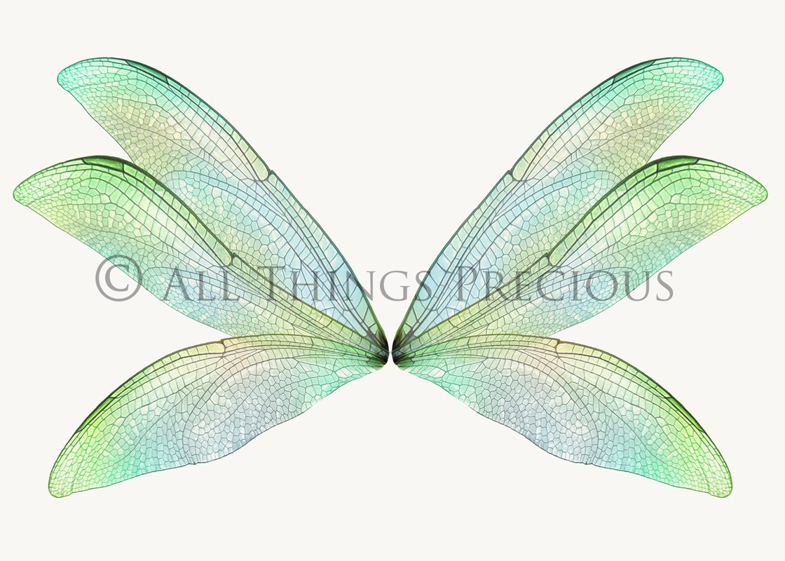 Digital Fairy Wings Overlays clipart. Png transparent see through files for photoshop. Butterfly Angel, Color, Print Photography editing. High resolution, 300dpi. Printable, Photography Graphic design assets, add on stock resources. Magical Scrapbooking design. Faery Photographer edit. Colorful Big Bundle. ATP Textures