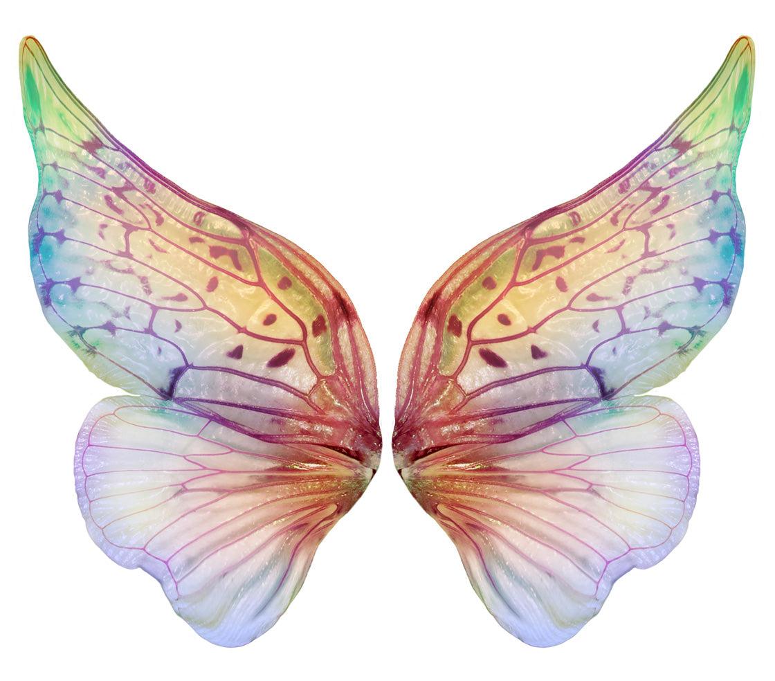 Digital Overlays for Photographers, Graphic design, scrapbooking and creatives.. Fairy Wings. High resolution, fine art digital assets for creating fantasy art.  Png overlay with transparent background. Magical Edit. Png Photo editing art assets.