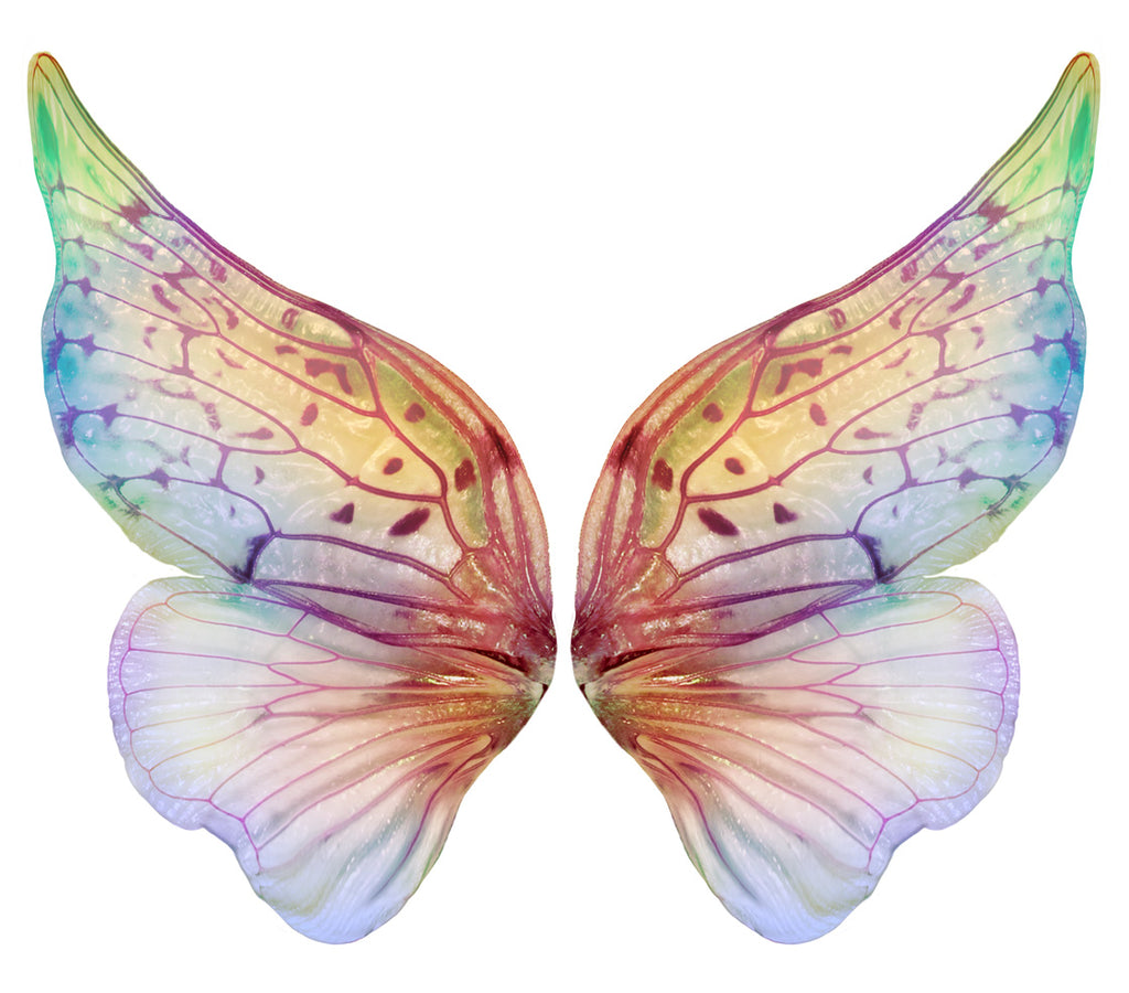 Digital Overlays for Photographers, Graphic design, scrapbooking and creatives.. Fairy Wings. High resolution, fine art digital assets for creating fantasy art.  Png overlay with transparent background. Magical Edit. Png Photo editing art assets.