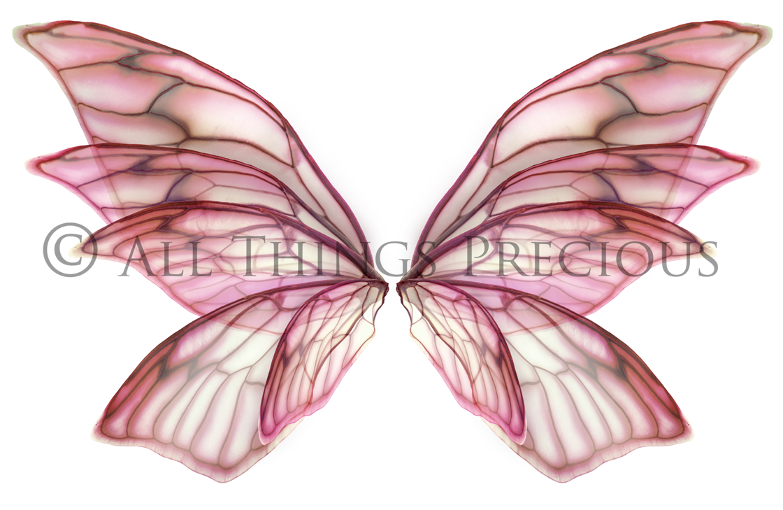 Digital Faery Wing Overlays. Png overlays for photoshop. Photography editing. High resolution, 300dpi fairy wings. Overlays for photography. Digital stock and resources. Graphic design. Fairy Photos. Colourful Fairy wings. Faerie Wings. ATP Textures. Overlays. Actions, Textures, Photo Resources, Photoshop. 