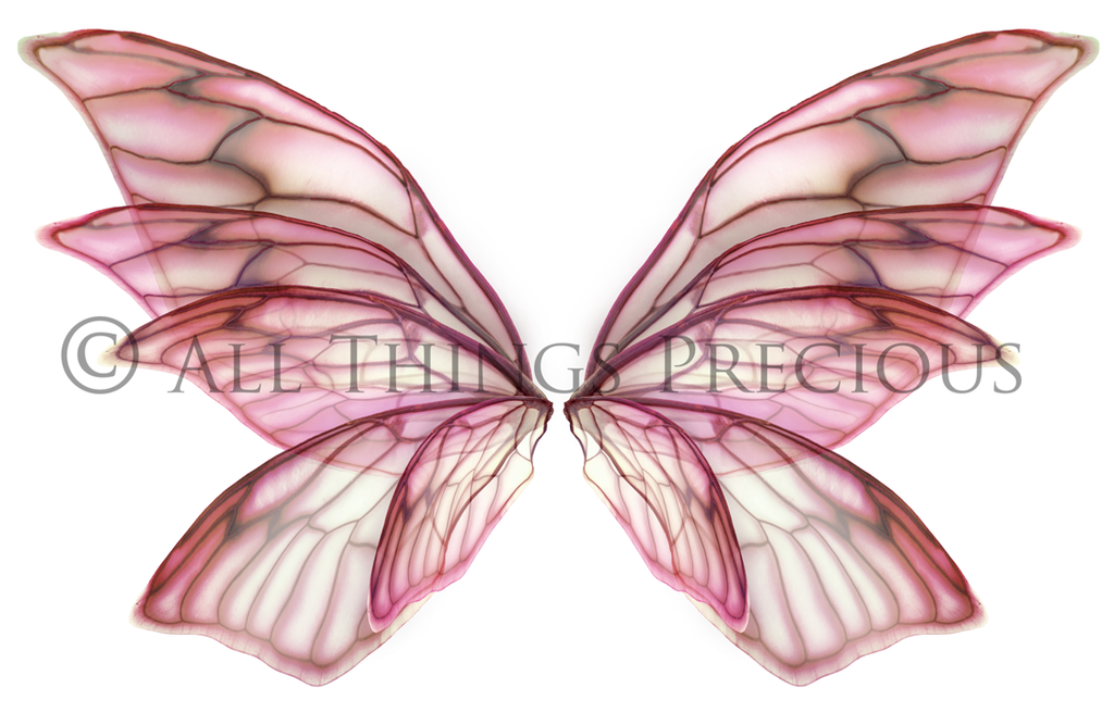 Digital Faery Wing Overlays. Png overlays for photoshop. Photography editing. High resolution, 300dpi fairy wings. Overlays for photography. Digital stock and resources. Graphic design. Fairy Photos. Colourful Fairy wings. Faerie Wings. ATP Textures. Overlays. Actions, Textures, Photo Resources, Photoshop. 