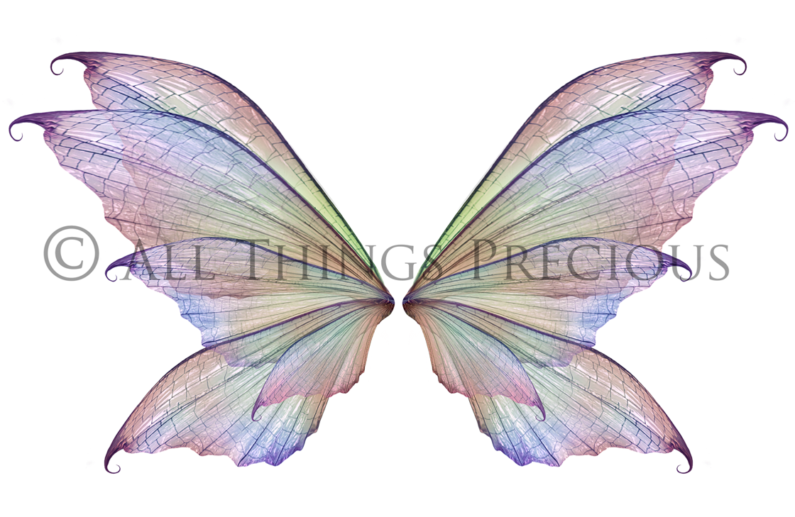 Digital Faery Wing Overlays. Png overlays for photoshop. Photography editing. High resolution, 300dpi fairy wings. Overlays for photography. Digital stock and resources. Graphic design. Fairy Photos. Colourful Fairy wings. Faerie Wings. ATP Textures. Overlays. Actions, Textures, Photo Resources, Photoshop. 