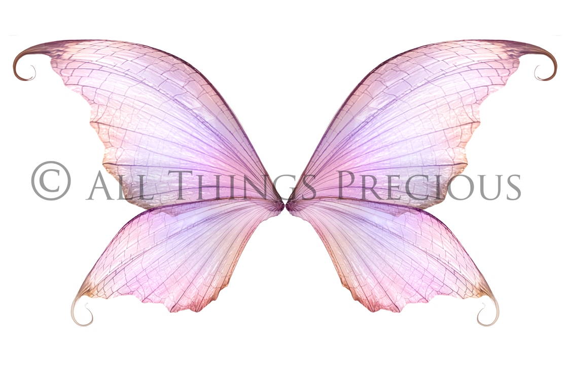 Digital Fairy Wings Overlays clipart. Png transparent see through files for photoshop. Butterfly Angel, Color, Print Photography editing. High resolution, 300dpi. Printable, Photography Graphic design assets, add on stock resources. Magical Scrapbooking design. Faery Photographer edit. Colorful Big Bundle. ATP Textures