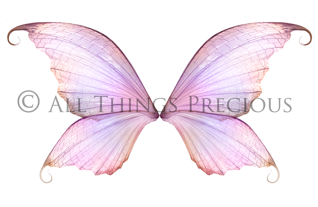 Digital Fairy Wings Overlays clipart. Png transparent see through files for photoshop. Butterfly Angel, Color, Print Photography editing. High resolution, 300dpi. Printable, Photography Graphic design assets, add on stock resources. Magical Scrapbooking design. Faery Photographer edit. Colorful Big Bundle. ATP Textures