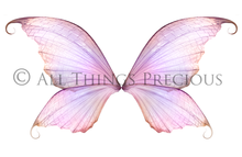 Load image into Gallery viewer, 20 Png FAIRY WING Overlays Set 9
