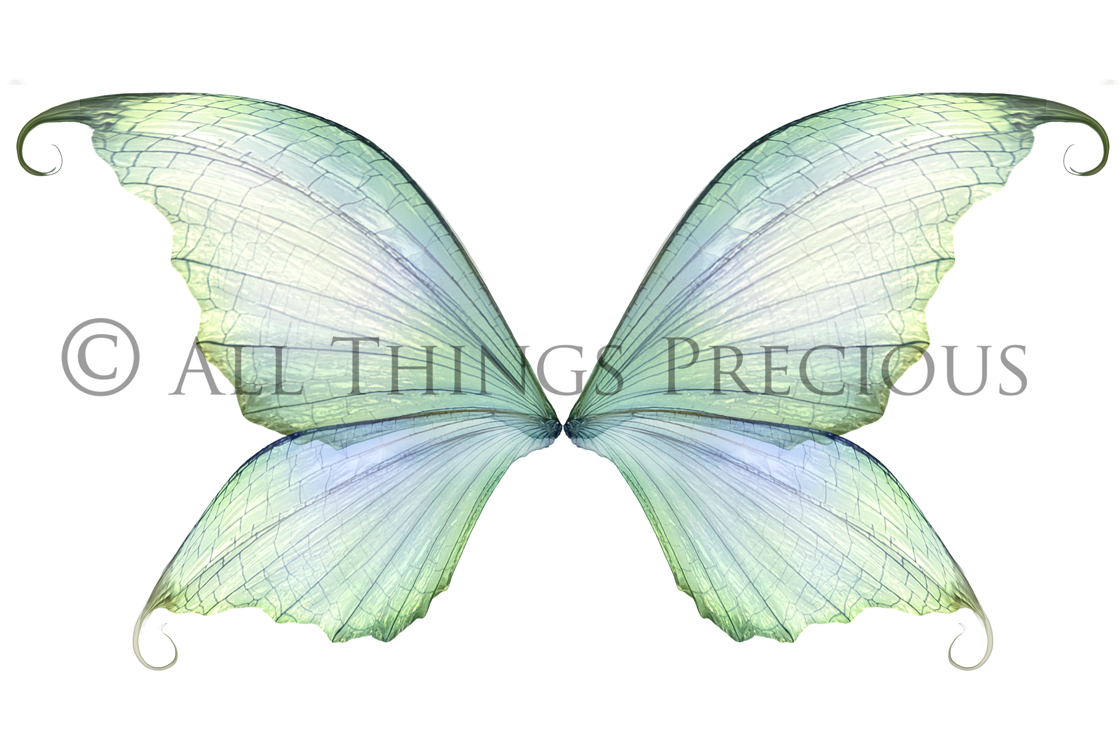 Digital Faery Wing Overlays. Png overlays for photoshop. Photography editing. High resolution, 300dpi fairy wings. Overlays for photography. Digital stock and resources. Graphic design. Fairy Photos. Colourful Fairy wings. Faerie Wings. ATP Textures. Overlays. Actions, Textures, Photo Resources, Photoshop. 
