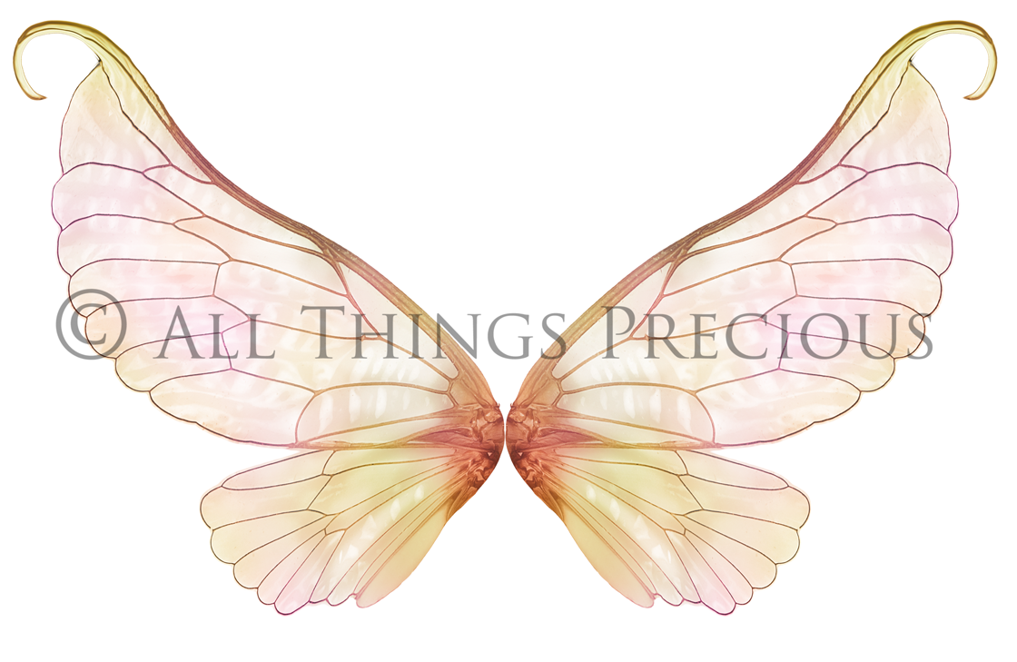 Digital Fairy Wings Overlays clipart. Png transparent see through files for photoshop. Butterfly Angel, Color, Print Photography editing. High resolution, 300dpi. Printable, Photography Graphic design assets, add on stock resources. Magical Scrapbooking design. Faery Photographer edit. Colorful Big Bundle. ATP Textures