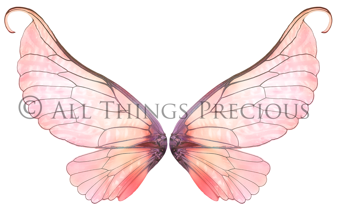 Digital Faery Wing Overlays. Png overlays for photoshop. Photography editing. High resolution, 300dpi fairy wings. Overlays for photography. Digital stock and resources. Graphic design. Fairy Photos. Colourful Fairy wings. Faerie Wings. ATP Textures. Overlays. Actions, Textures, Photo Resources, Photoshop. 