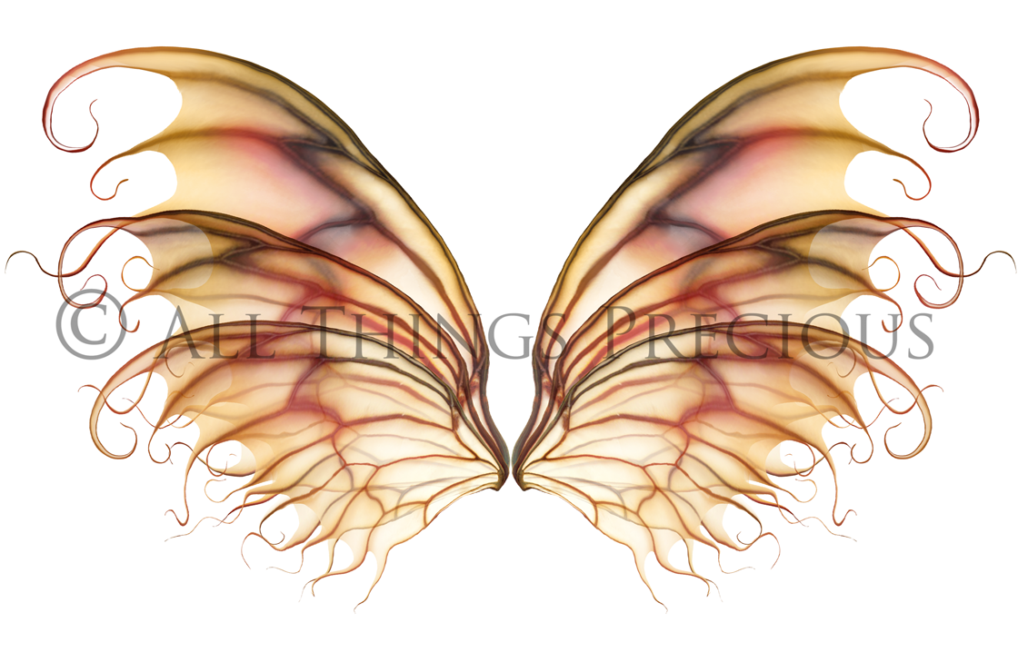 Digital Faery Wing Overlays. Png overlays for photoshop. Photography editing. High resolution, 300dpi fairy wings. Overlays for photography. Digital stock and resources. Graphic design. Fairy Photos. Colourful Fairy wings. Faerie Wings. ATP Textures. Overlays. Actions, Textures, Photo Resources, Photoshop. 