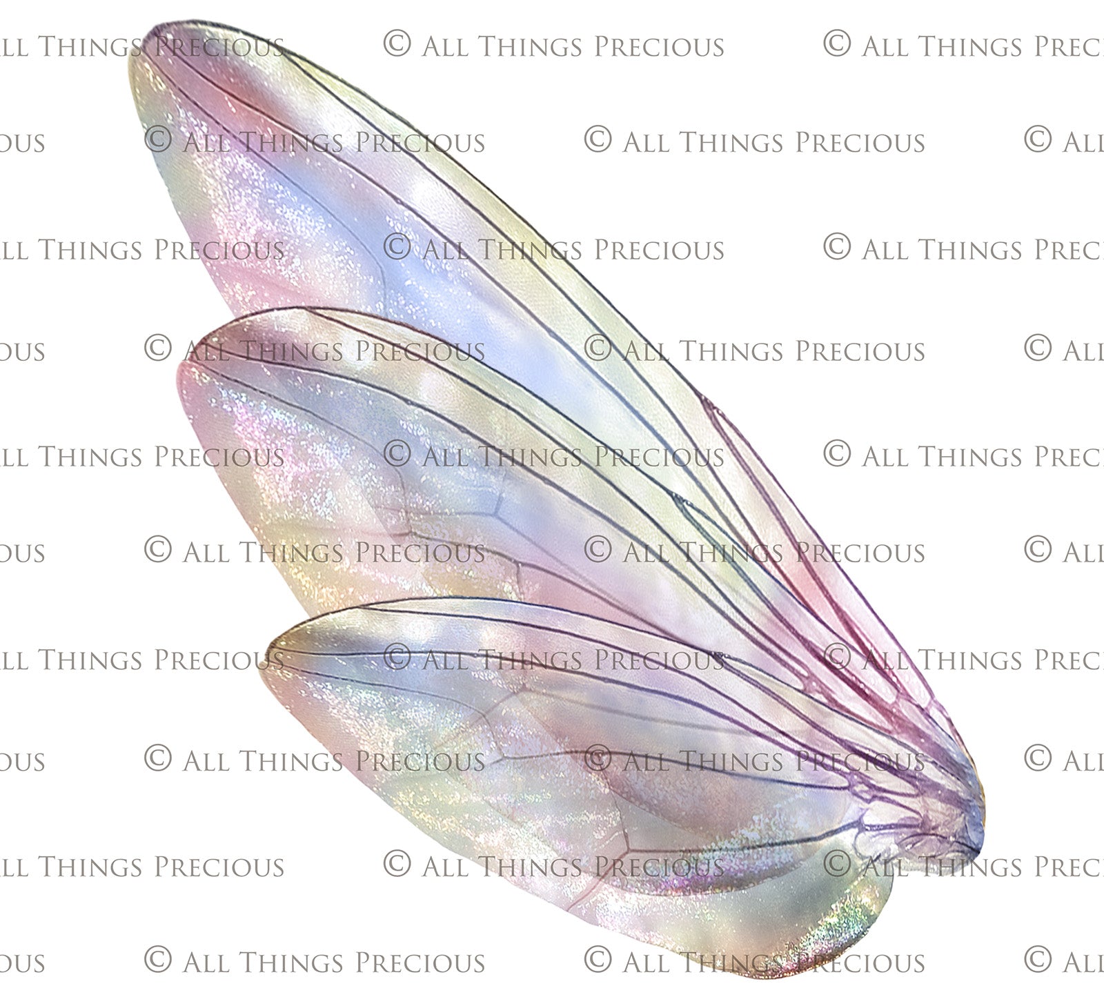 Digital Faery Wing Overlays. Png overlays for photoshop. Photography editing. High resolution, 300dpi fairy wings. Overlays for photography. Digital stock and resources. Graphic design. Fairy Photos. Colourful Fairy wings. Faerie Wings. ATP Textures. Overlays. Actions, Textures, Photo Resources, Photoshop. 