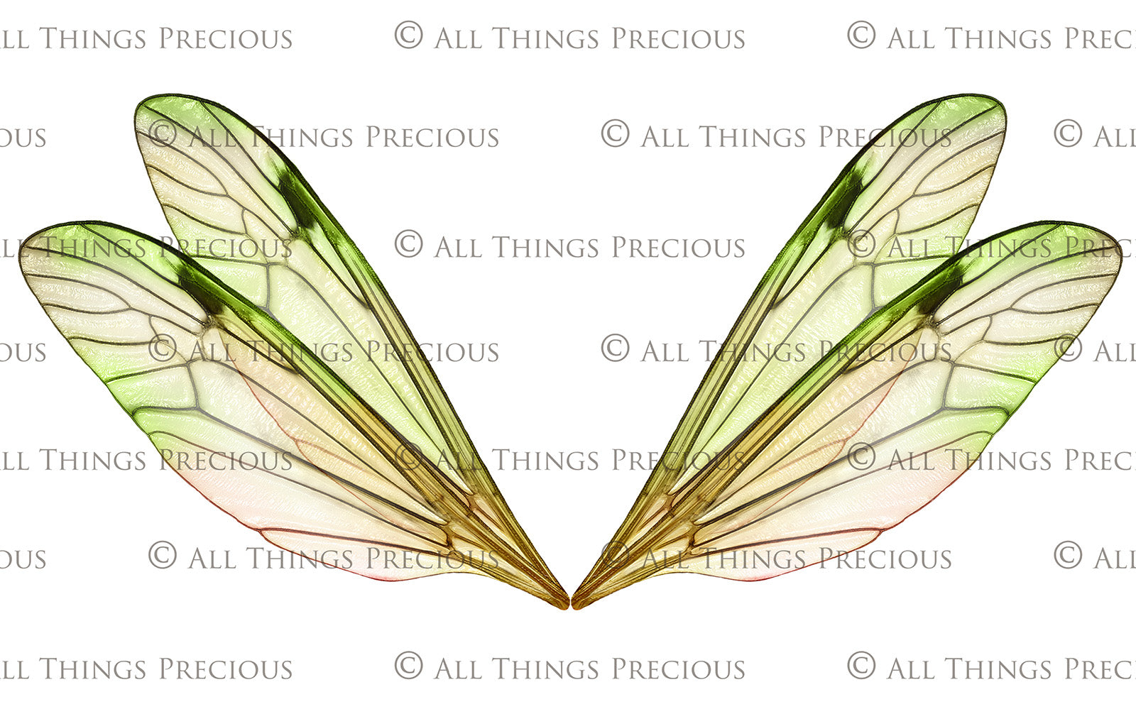 Digital Faery Wing Overlays. Png overlays for photoshop. Photography editing. High resolution, 300dpi fairy wings. Overlays for photography. Digital stock and resources. Graphic design. Fairy Photos. Colourful Fairy wings. Faerie Wings. ATP Textures. Overlays. Actions, Textures, Photo Resources, Photoshop. 