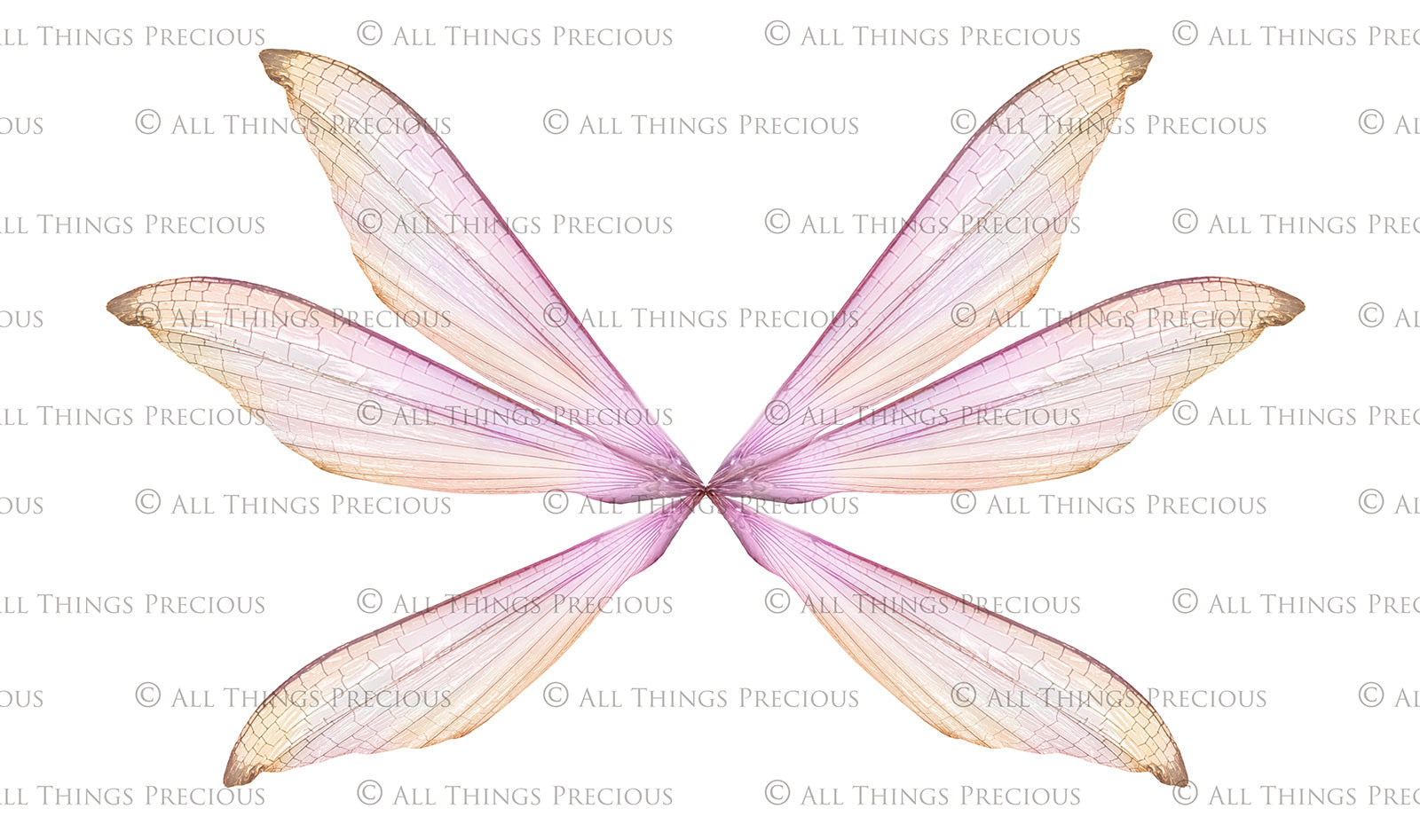 Digital Faery Wing Overlays. Png overlays for photoshop. Photography editing. High resolution, 300dpi fairy wings. Overlays for photography. Digital stock and resources. Graphic design. Fairy Photos. Colourful Fairy wings. Faerie Wings. ATP Textures. Overlays. Actions, Textures, Photo Resources, Photoshop. 