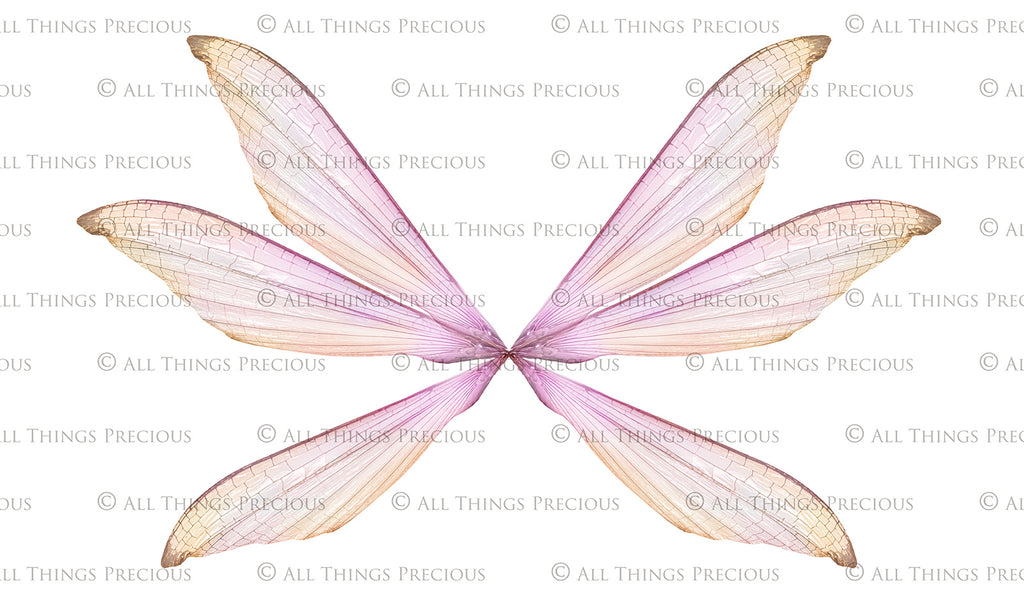 Digital Faery Wing Overlays. Png overlays for photoshop. Photography editing. High resolution, 300dpi fairy wings. Overlays for photography. Digital stock and resources. Graphic design. Fairy Photos. Colourful Fairy wings. Faerie Wings. ATP Textures. Overlays. Actions, Textures, Photo Resources, Photoshop. 